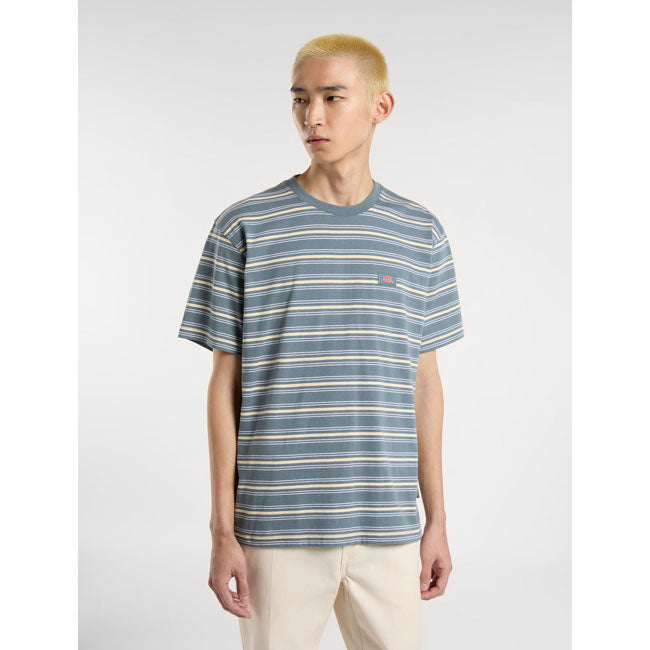 Dickies Lewistown Streep T-shirt