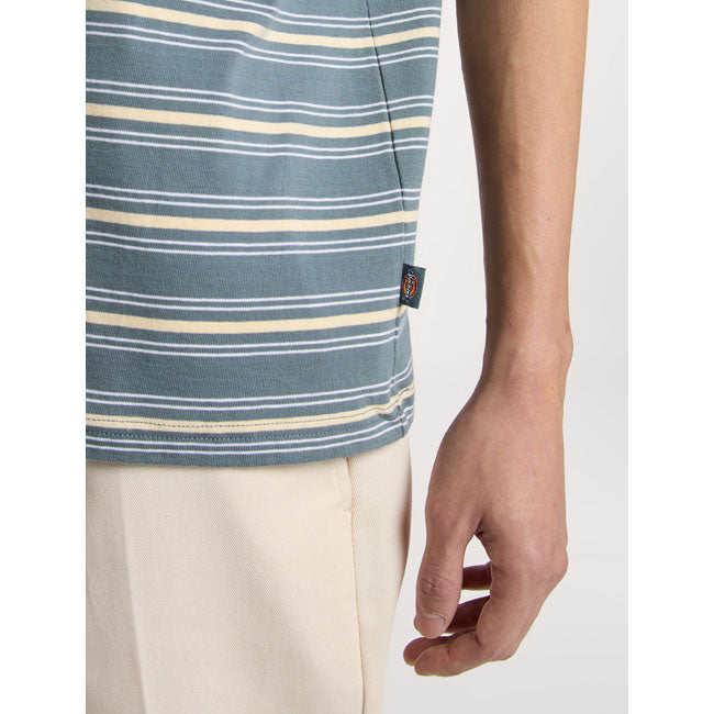 Dickies Lewistown Streep T-shirt