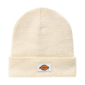 Dickies Gibsland muts