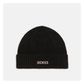 Dickies Harlowtown muts