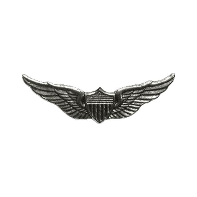 Aviator Wings Pin