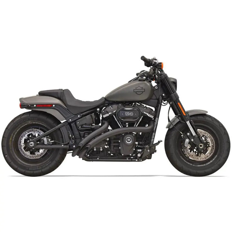 Bassani Sweeper Radial Exhaust System for Harley  - Customhoj