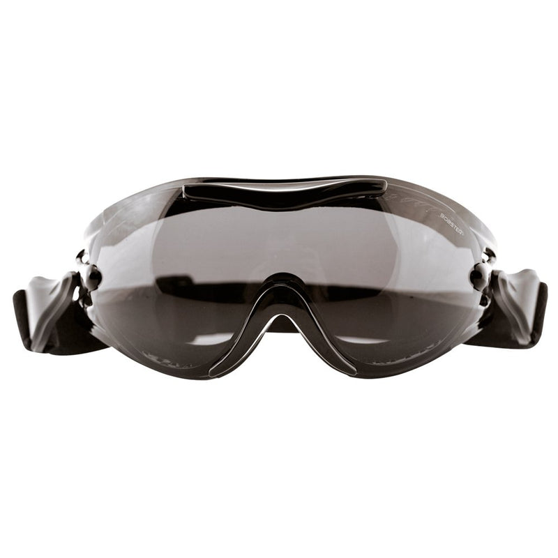 Bobster Phoenix Goggles