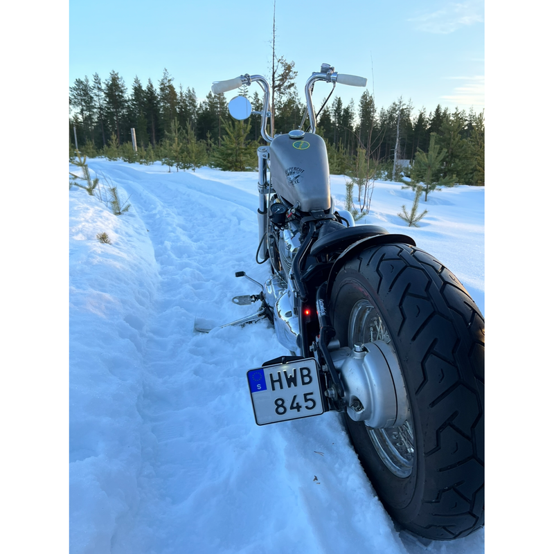SMP M8 Mini LED-motorfietsnummerplaatverlichting Bolt